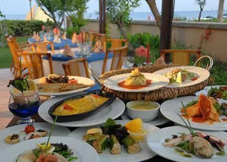 Barut Labada Çamyuva